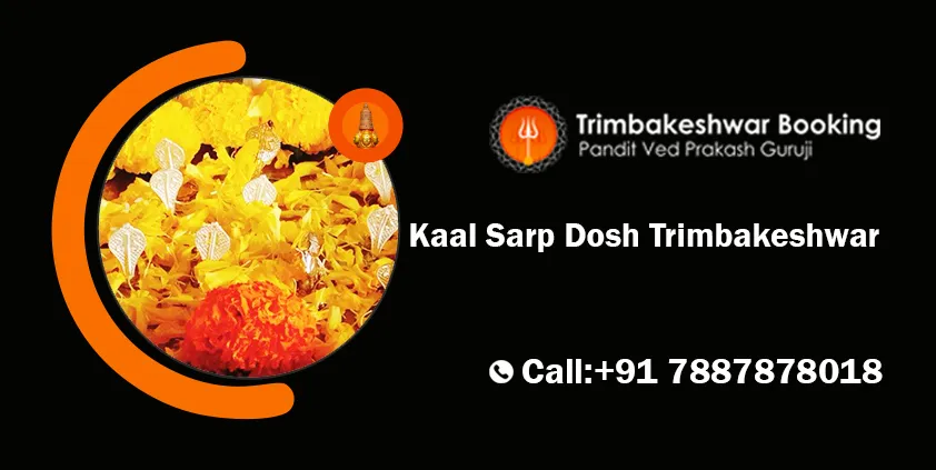 Kaal Sarp Dosh Trimbakeshwar